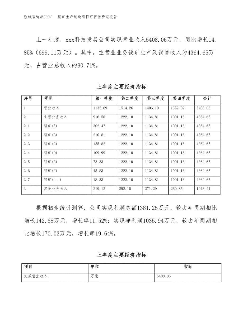 镁矿生产制造项目可行性研究报告_第5页