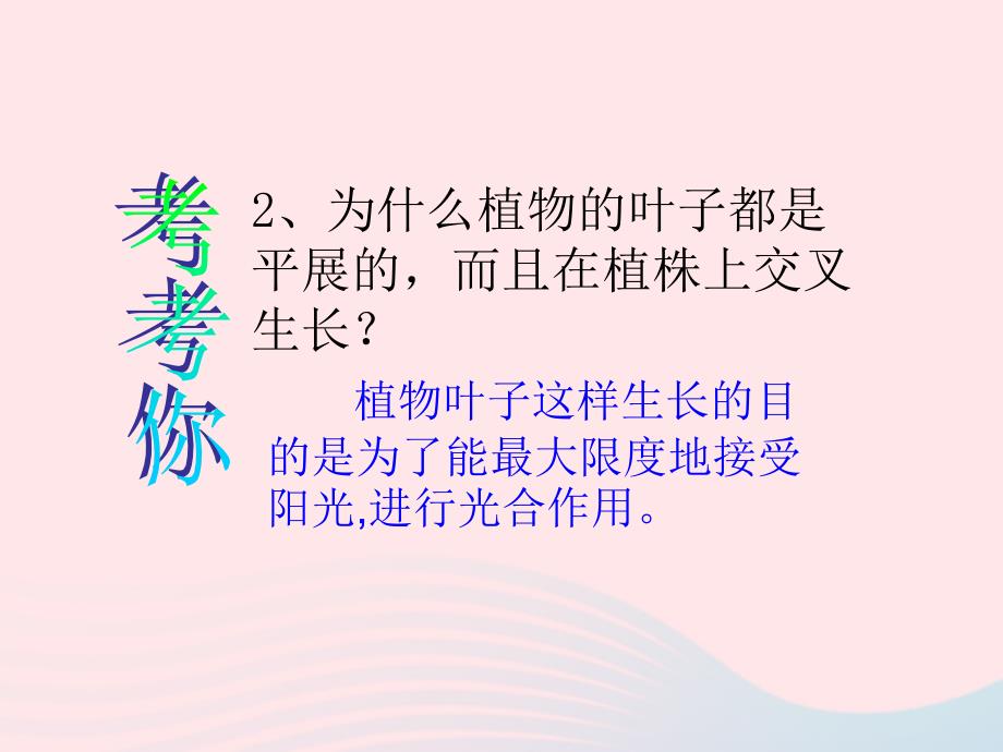 三年级科学下册 植物的生长变化 5《茎越长越高》课件 教科版_第3页