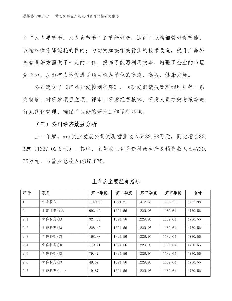 骨伤科药生产制造项目可行性研究报告_第5页