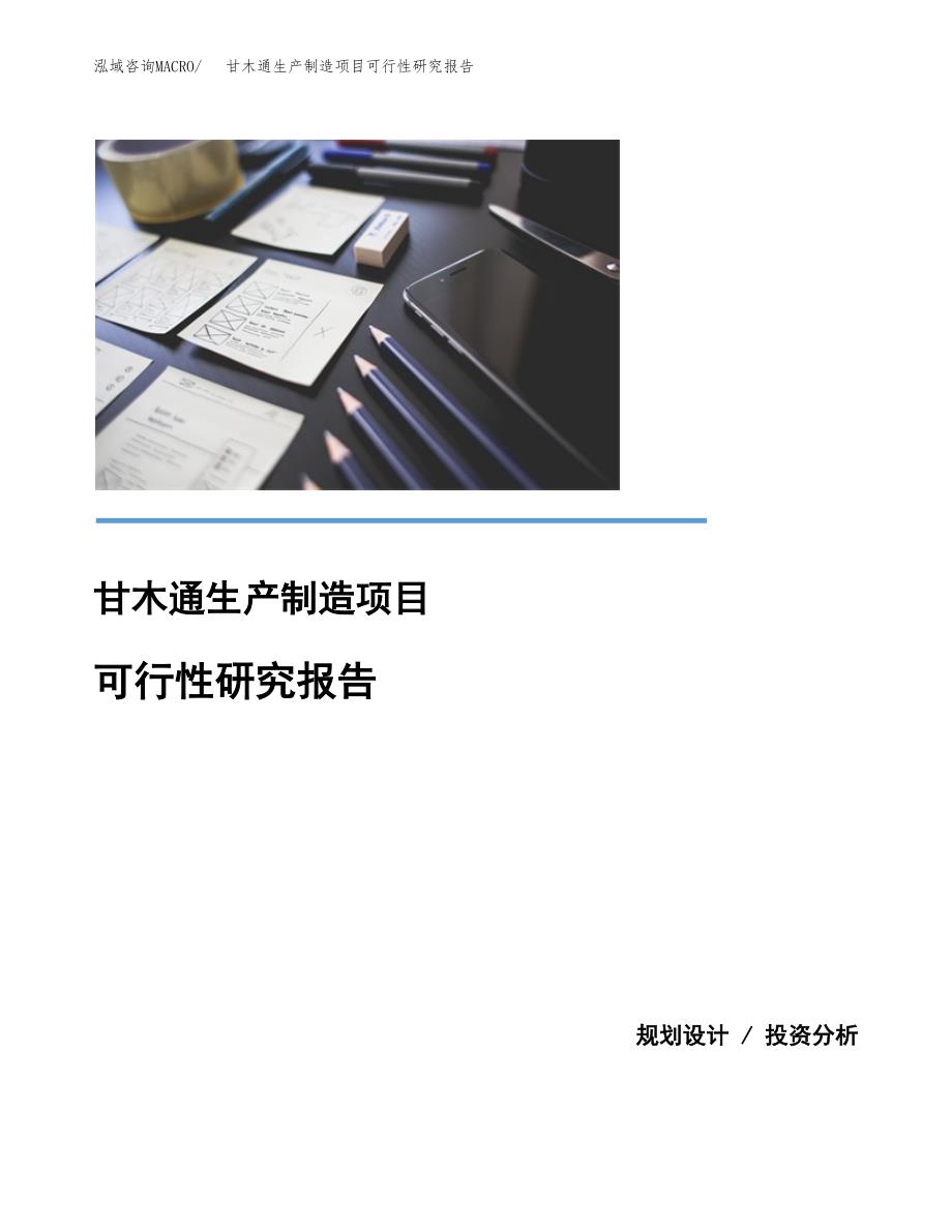 甘木通生产制造项目可行性研究报告_第1页