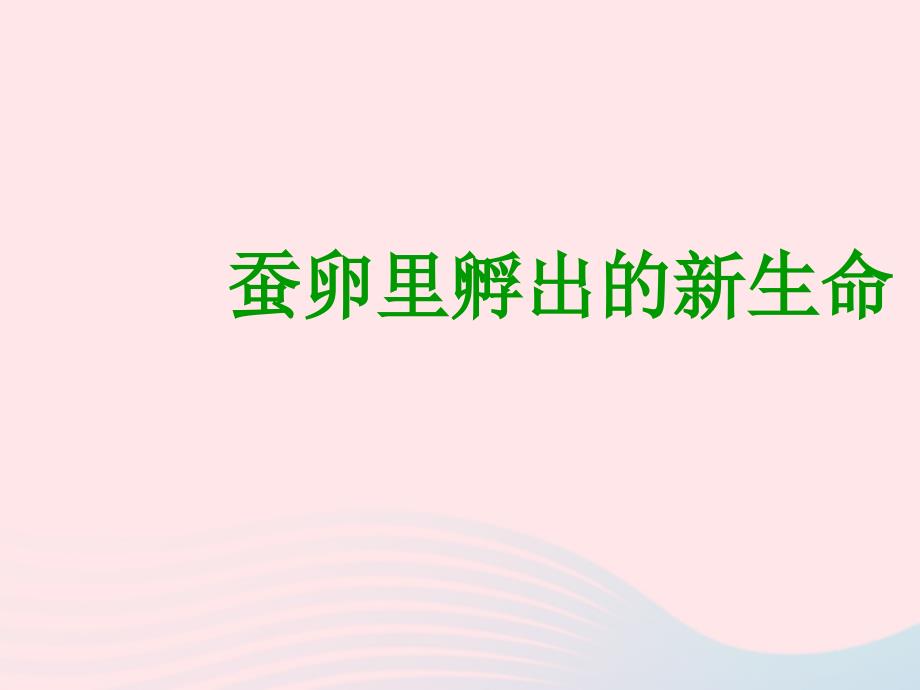 三年级科学下册 动物的生命周期 1 蚕卵里孵出的新生命课件 教科版_第1页