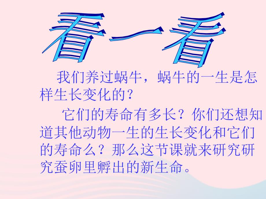 三年级科学下册 动物的生命周期 1 蚕卵里孵出的新生命课件 教科版_第2页