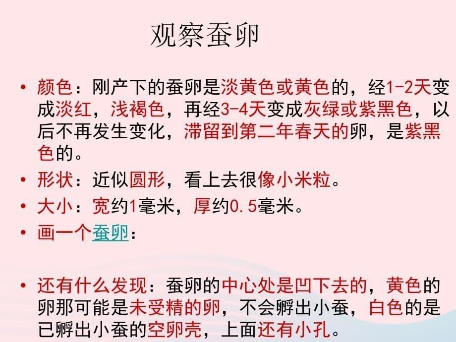 三年级科学下册 动物的生命周期 1 蚕卵里孵出的新生命课件 教科版_第5页