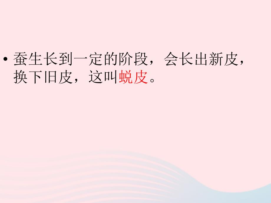 三年级科学下册 动物的生命周期 2 蚕的生长变化课件1 教科版_第4页