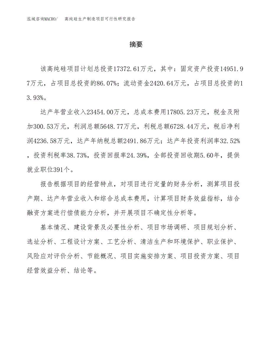 高纯硅生产制造项目可行性研究报告_第2页