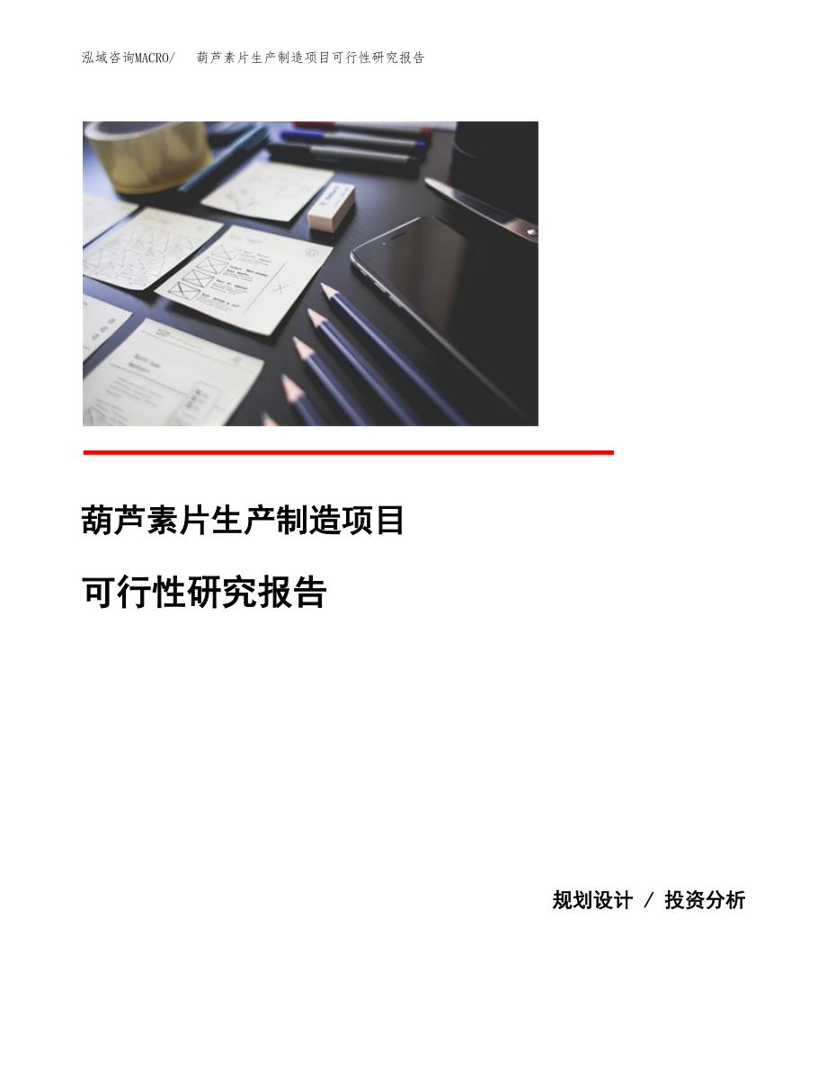 葫芦素片生产制造项目可行性研究报告_第1页