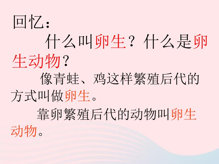 四年级科学下册 2 新的生命 7 动物的繁殖活动课件 教科版_第2页