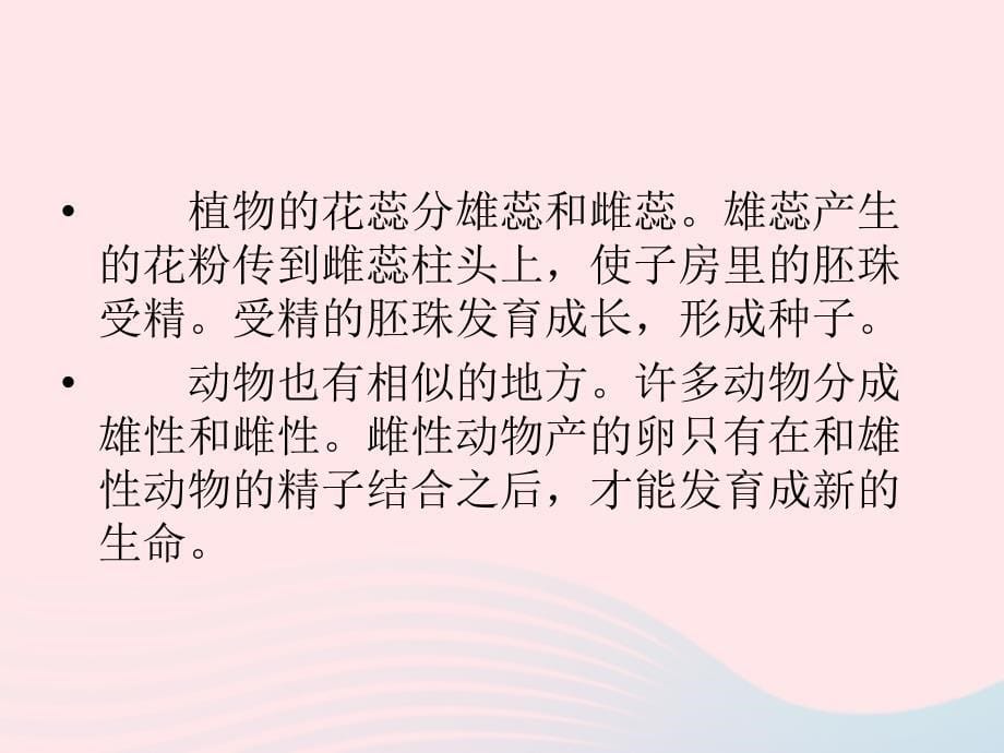 四年级科学下册 2 新的生命 7 动物的繁殖活动课件 教科版_第5页