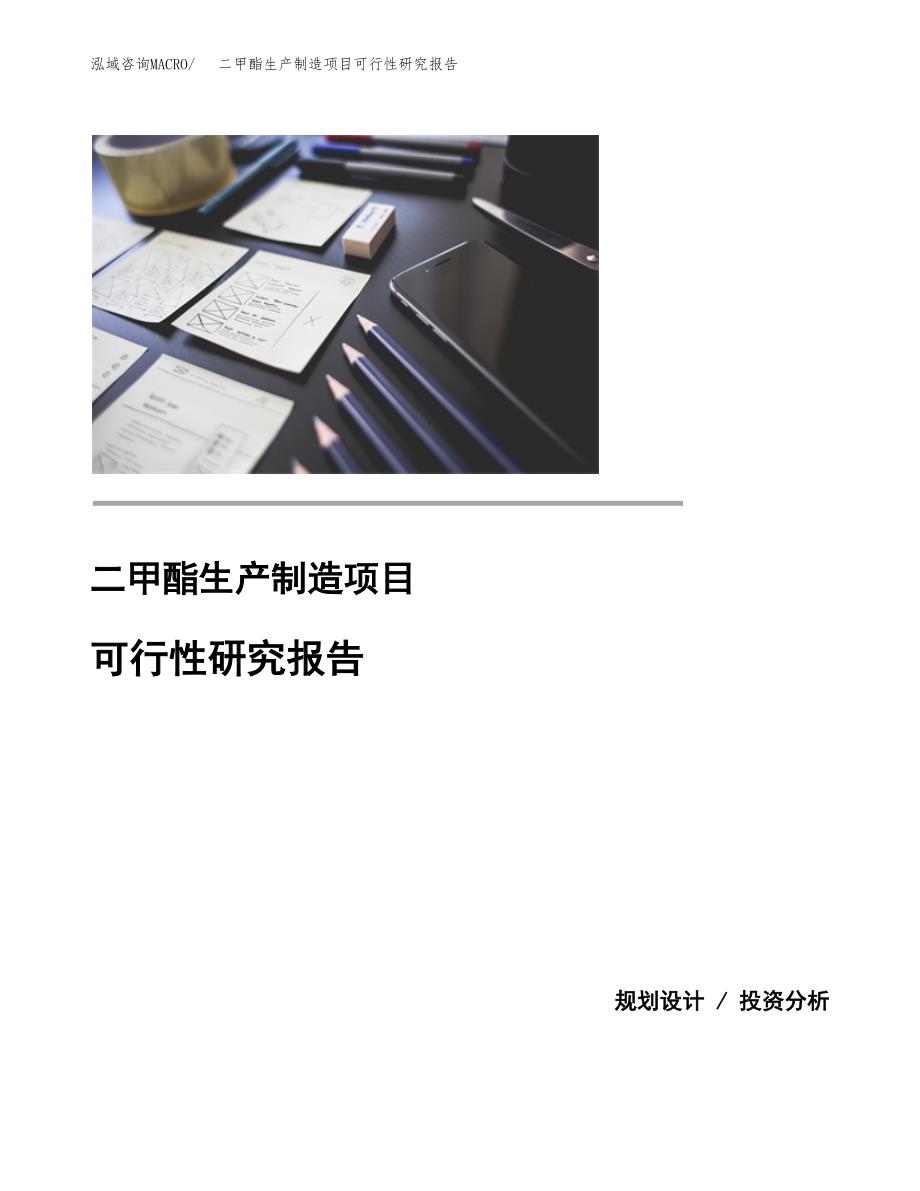 二甲酯生产制造项目可行性研究报告_第1页