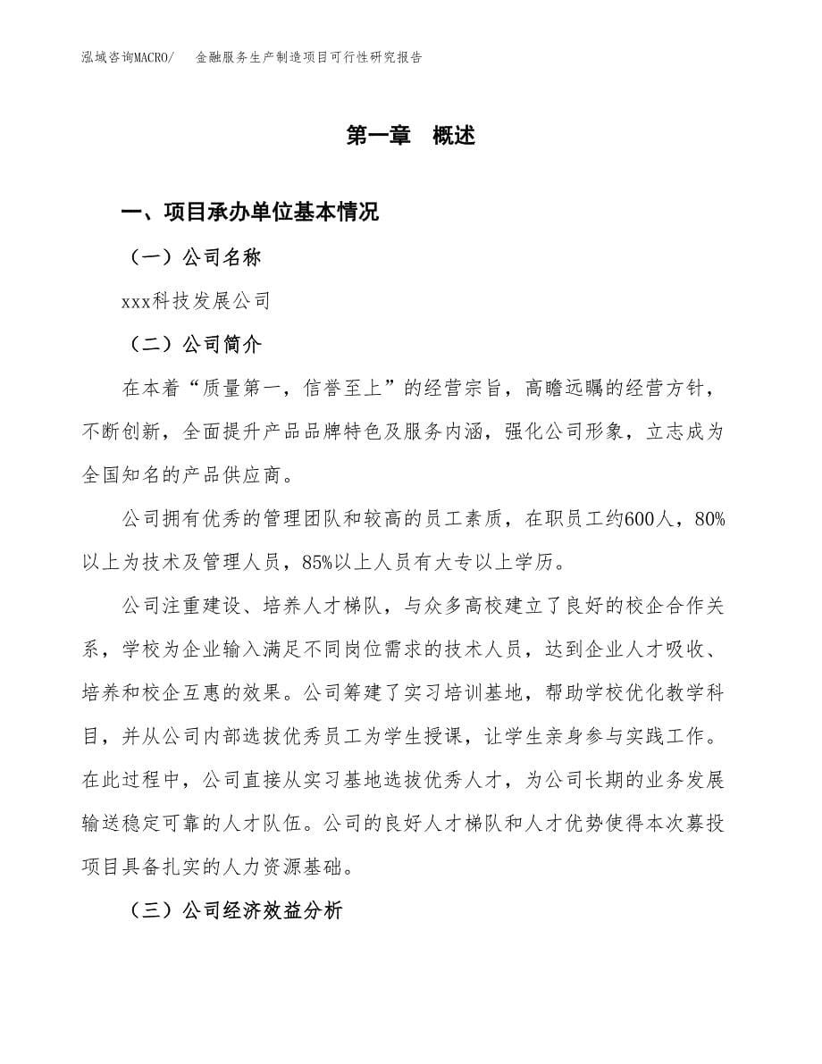 金融服务生产制造项目可行性研究报告_第5页