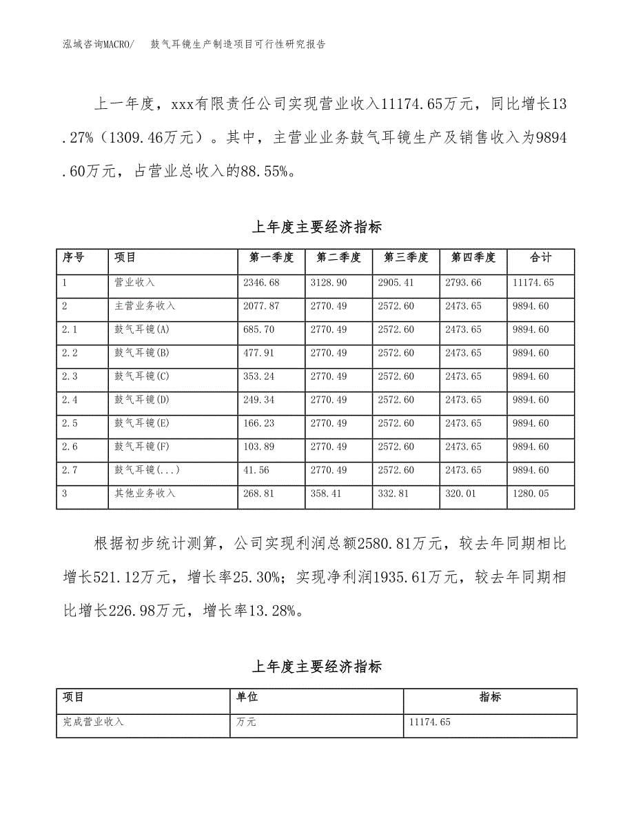 鼓气耳镜生产制造项目可行性研究报告 (1)_第5页