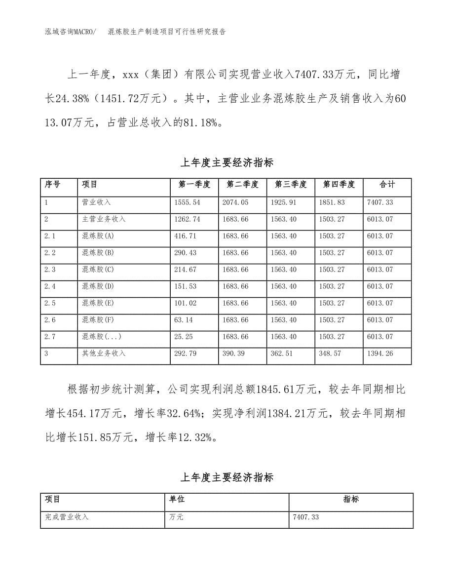 混炼胶生产制造项目可行性研究报告_第5页