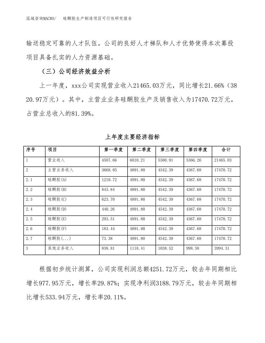 硅酮胶生产制造项目可行性研究报告_第5页