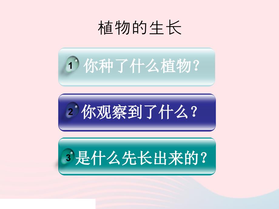 三年级科学下册 植物的生长变化 3 我们先看到了根课件1 教科版_第2页