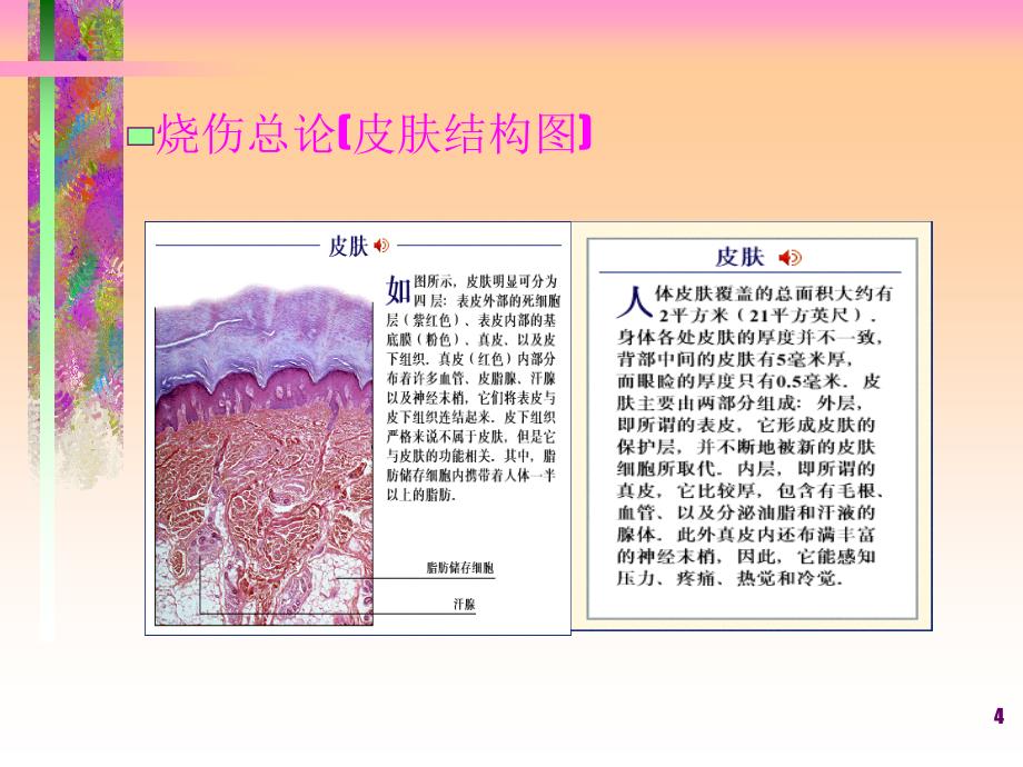 烧伤整形外科经典（大量图文讲解）医学课件_第4页