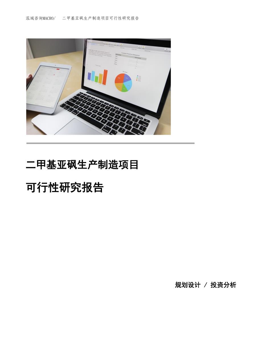 二甲基亚砜生产制造项目可行性研究报告 (1)_第1页