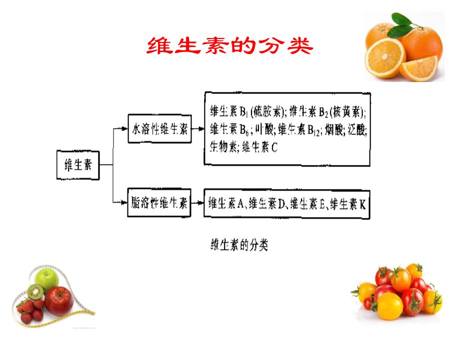 运动营养学基础运动与微量营养素_第3页