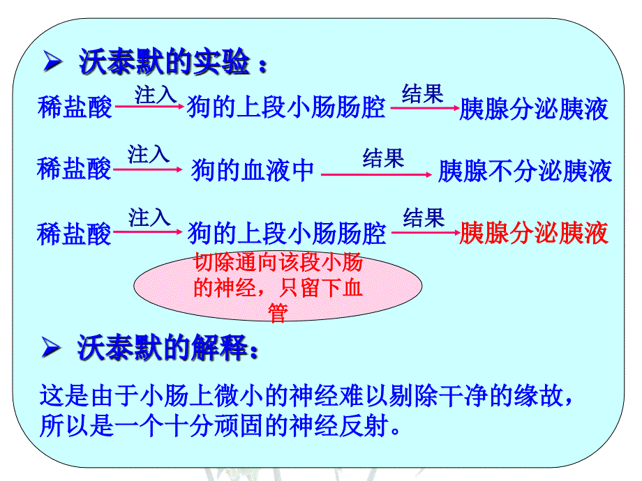 高二生物-通过激素的调节(上课用)多媒体教学课件_第4页