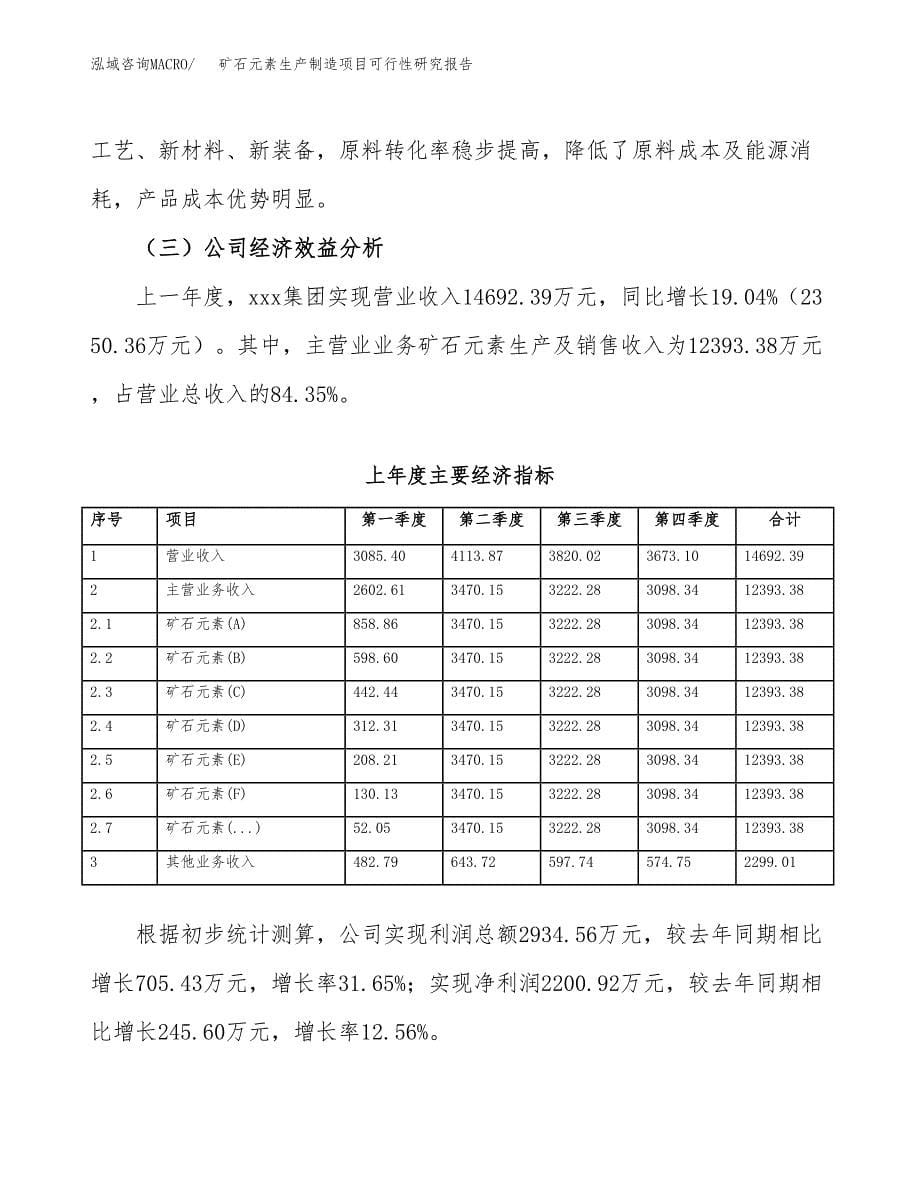 矿石元素生产制造项目可行性研究报告 (1)_第5页