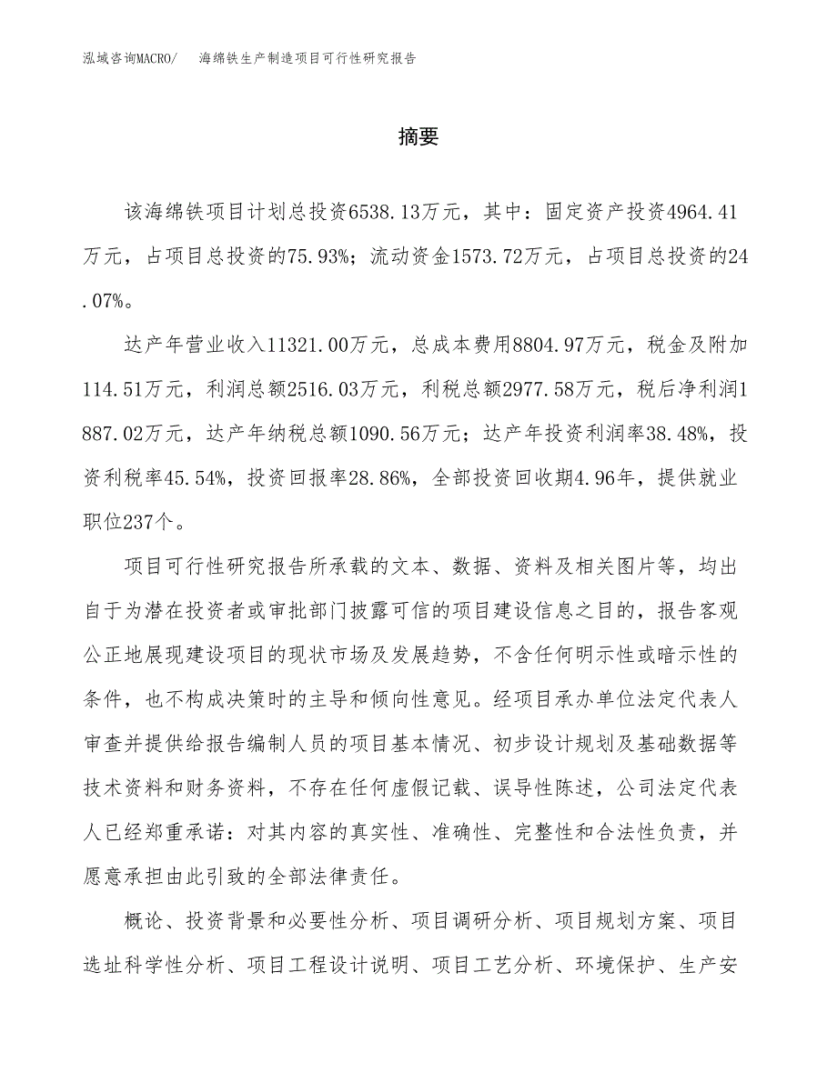 海绵铁生产制造项目可行性研究报告_第2页