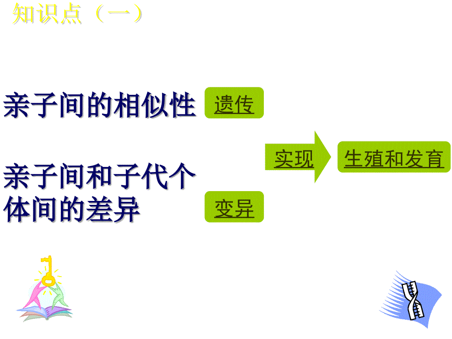 基因控制生物的性状新_第4页