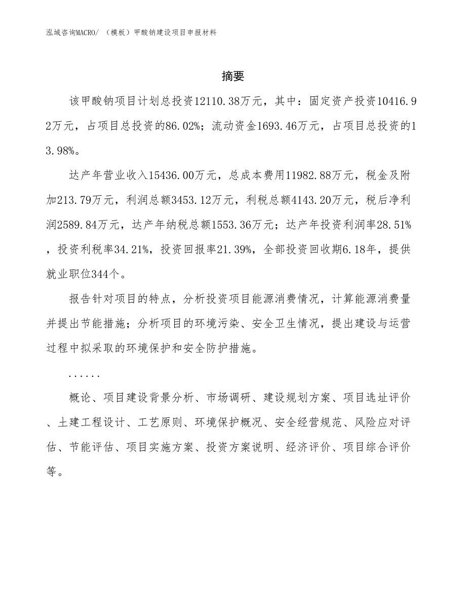 （模板）甲酸钠建设项目申报材料_第2页