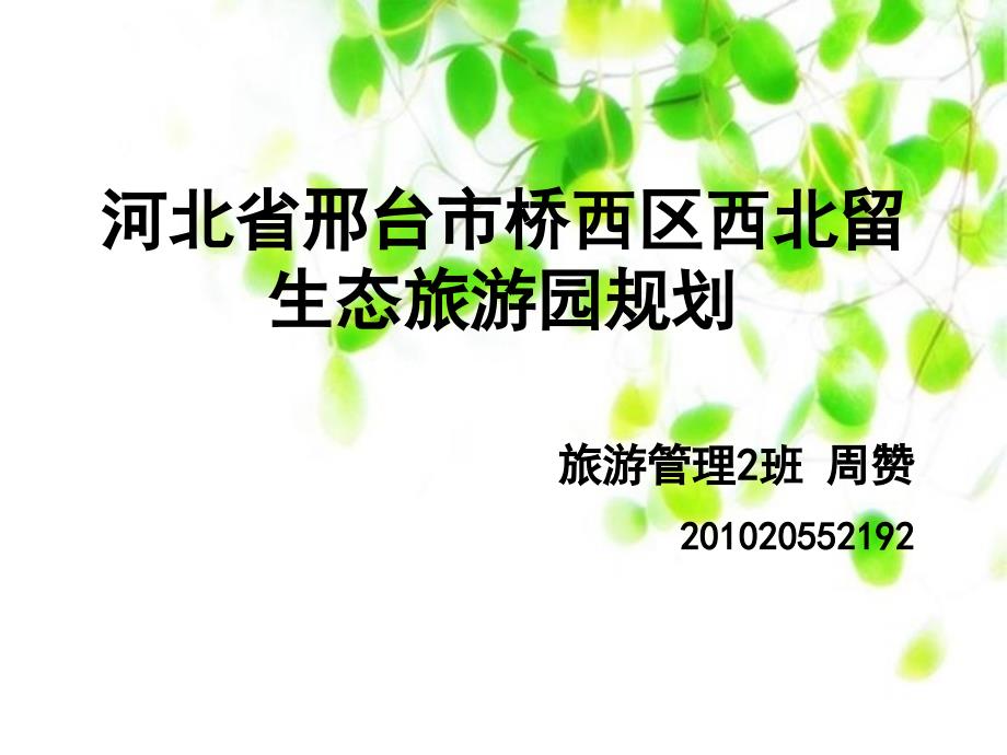 西北留规划正式_第1页