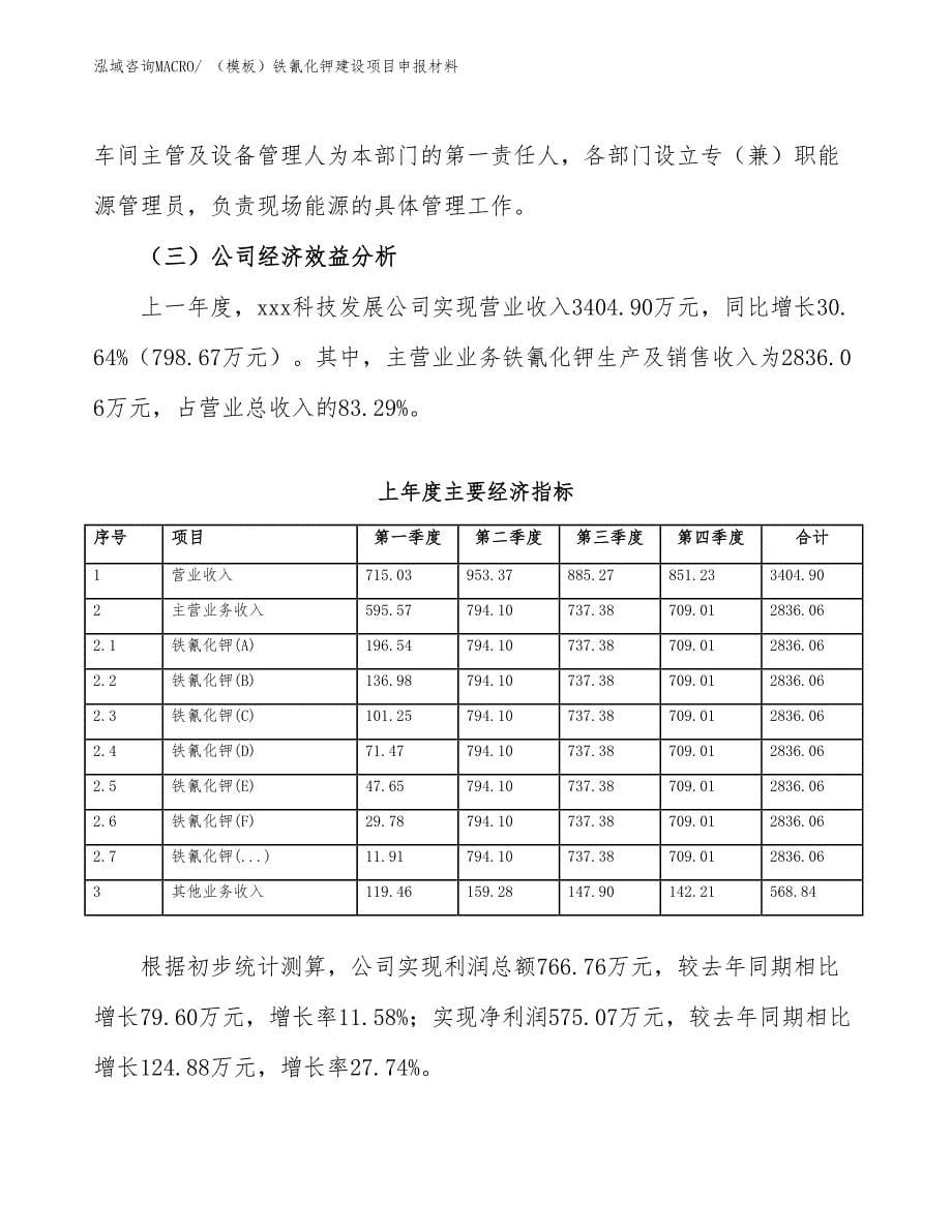 （模板）铁氰化钾建设项目申报材料_第5页