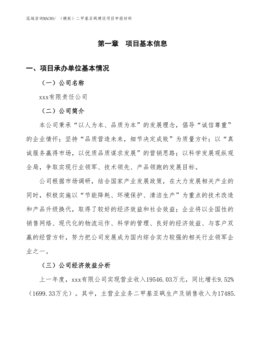 （模板）二甲基亚砜建设项目申报材料_第4页