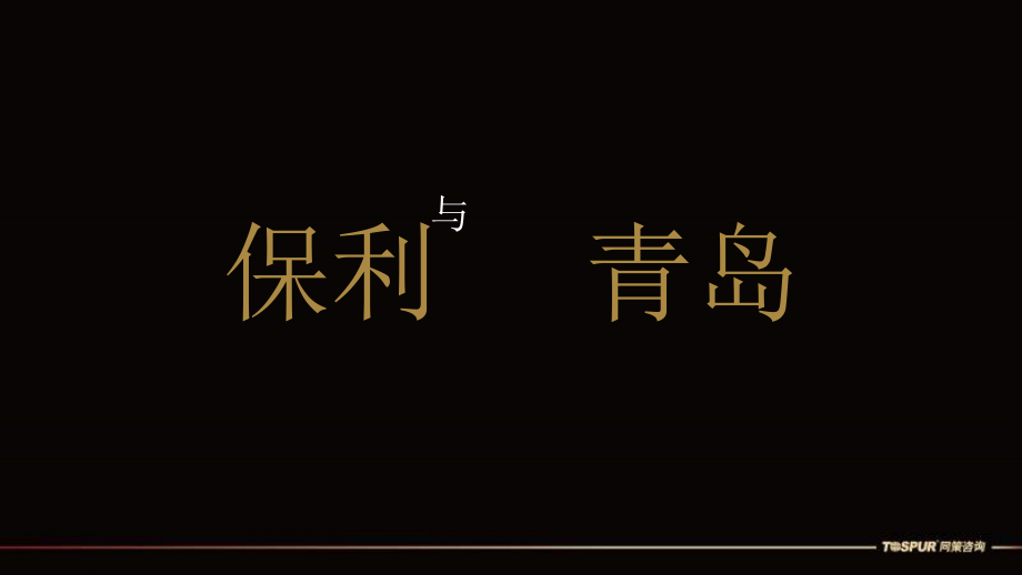 2010年1月21日青岛保利地产里院里项目定位及营销策划报告（经典）_第3页