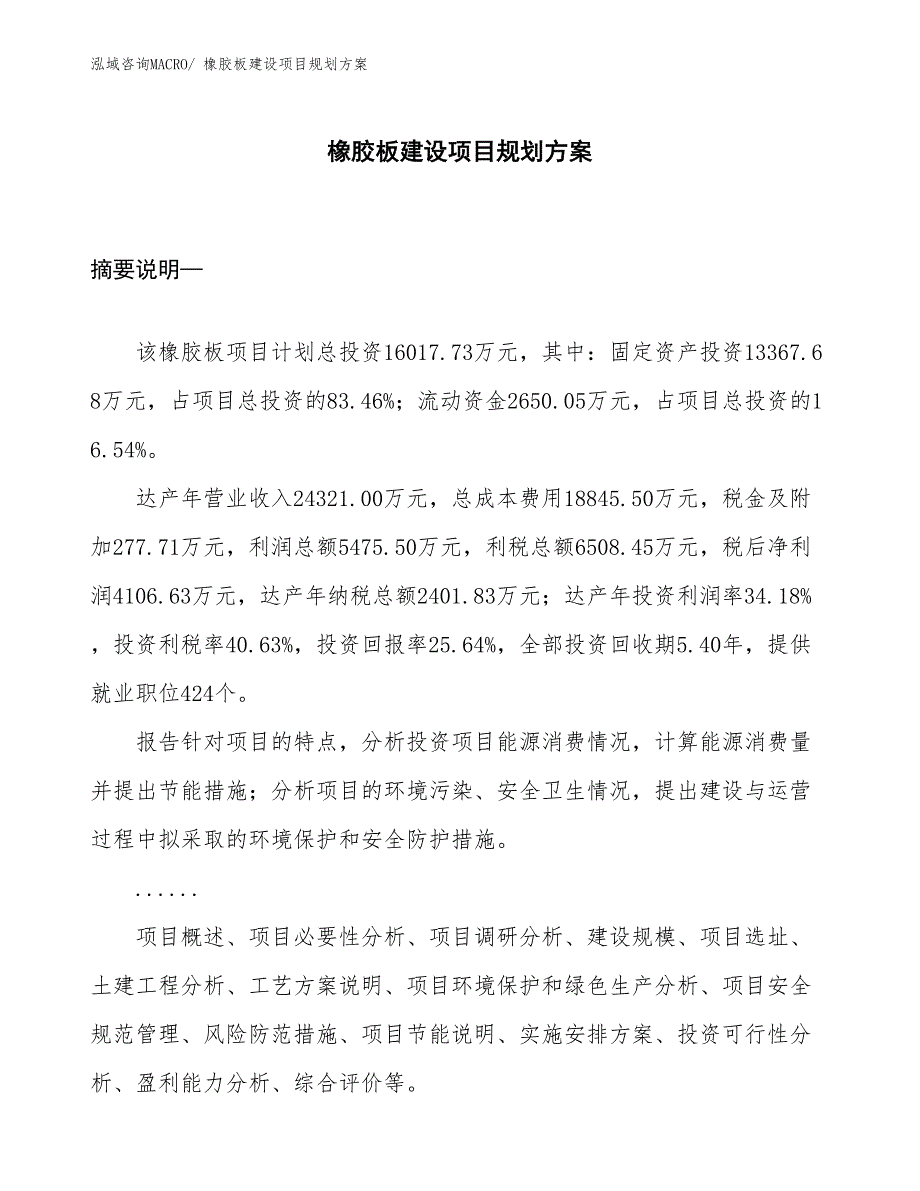 橡胶板建设项目规划方案_第1页