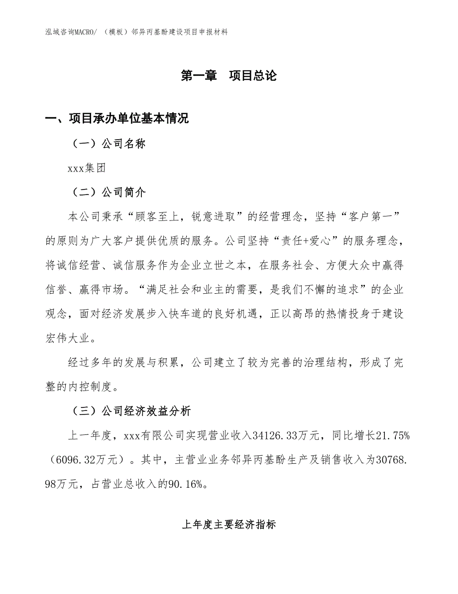 （模板）邻异丙基酚建设项目申报材料_第4页