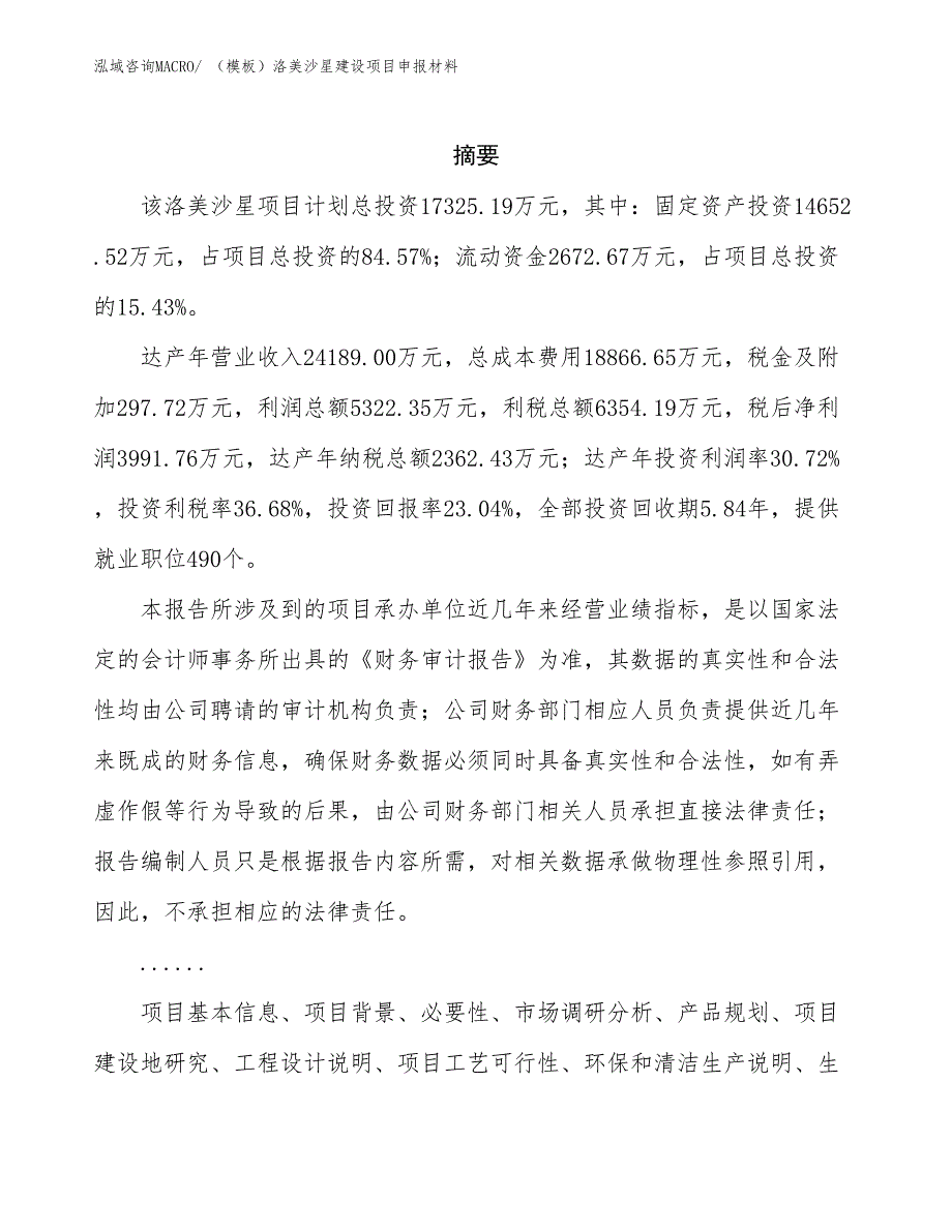 （模板）洛美沙星建设项目申报材料_第2页