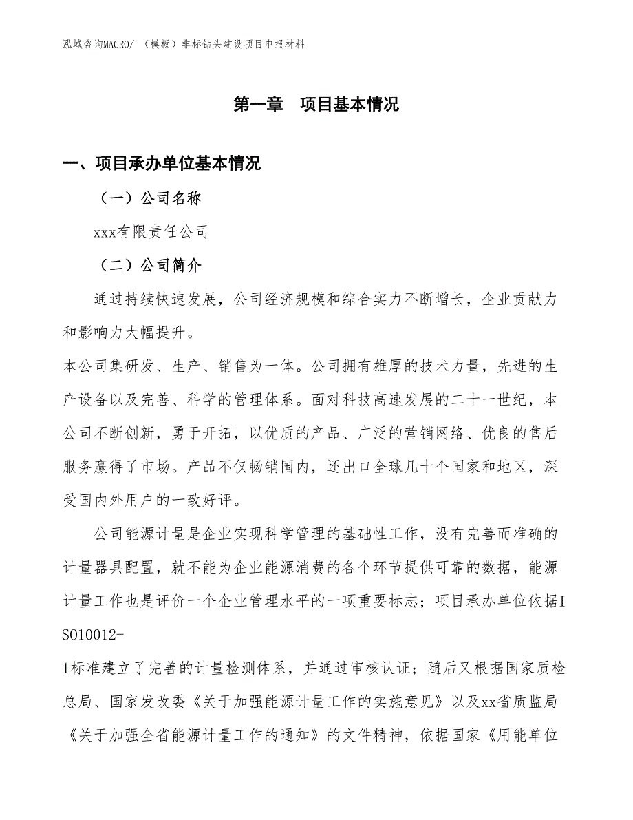 （模板）非标钻头建设项目申报材料_第4页