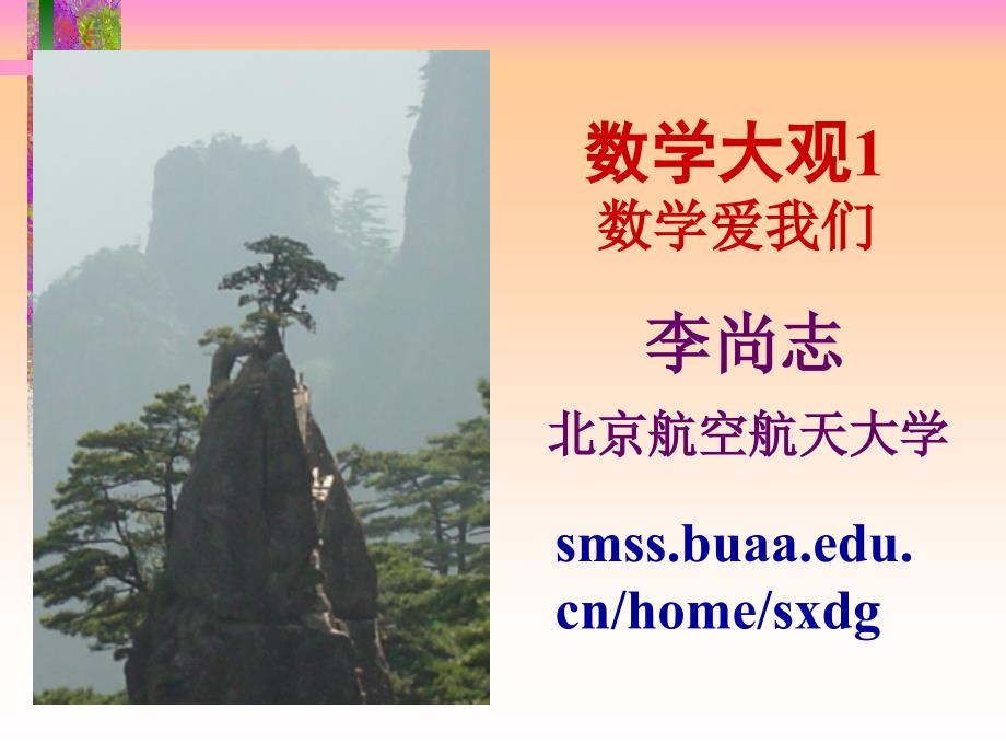 李尚志数学大观课件1_第1页
