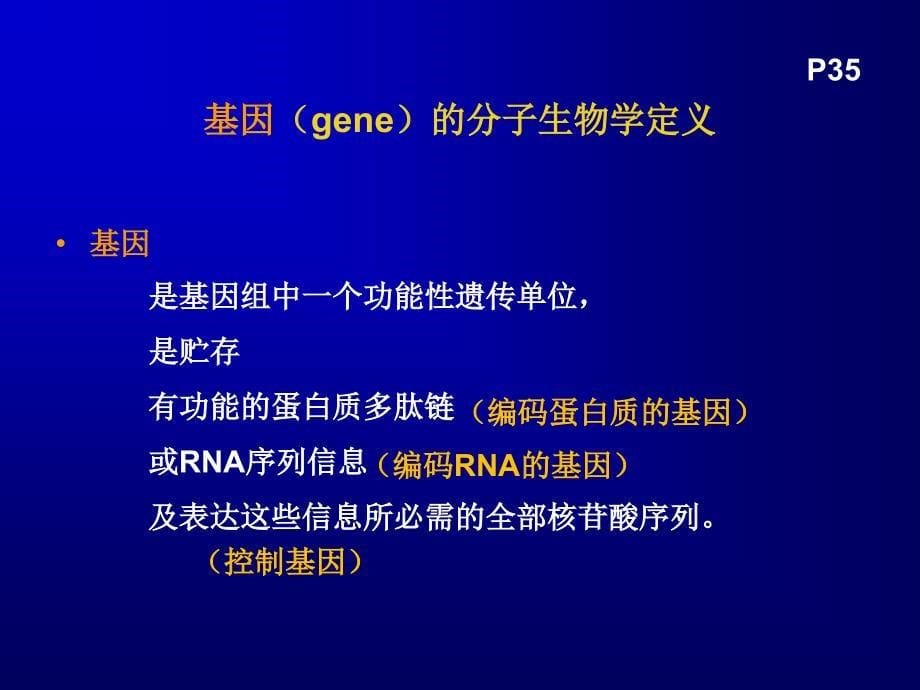 课件：生高分生病毒与原核基因组_第5页