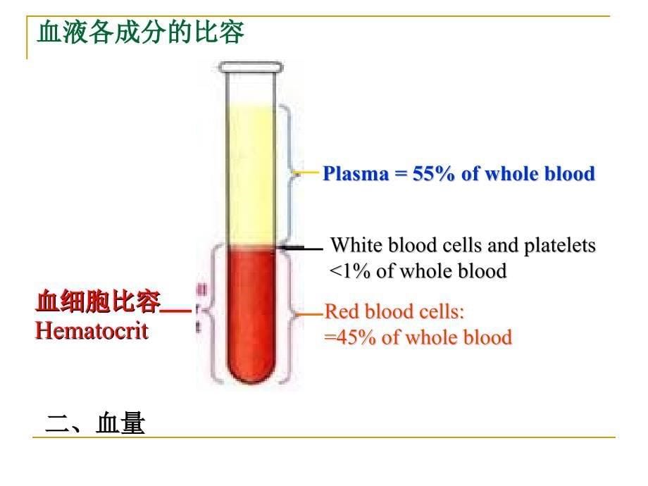 课件：生理学课件血液人卫第七版本_第5页