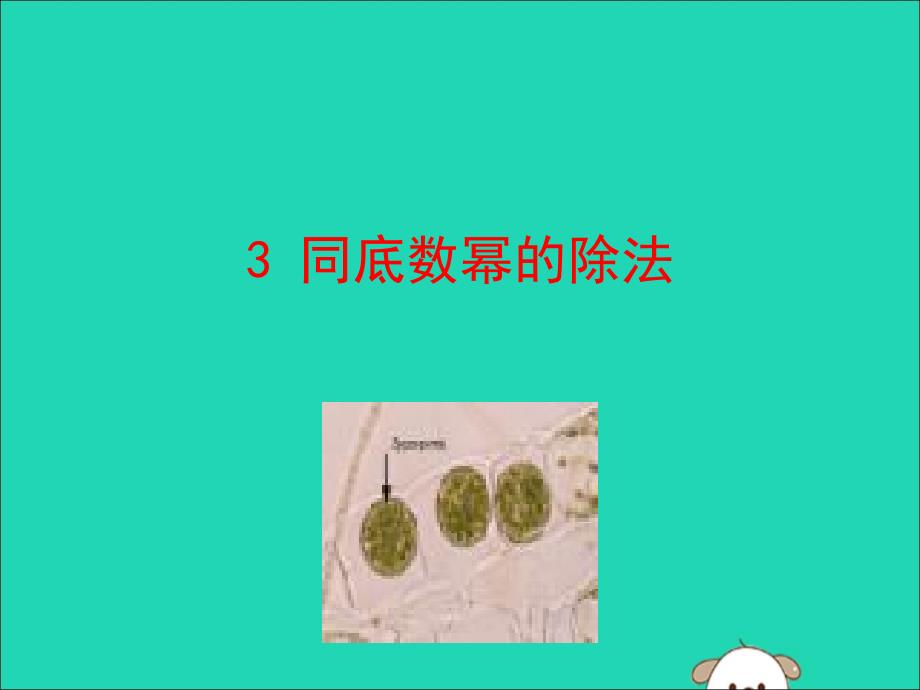 2019版七年级数学下册第一章整式的乘除3同底数幂的除法教学课件（新版）北师大版_第1页