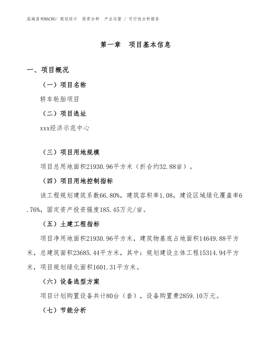 轿车轮胎项目可行性分析报告_第1页