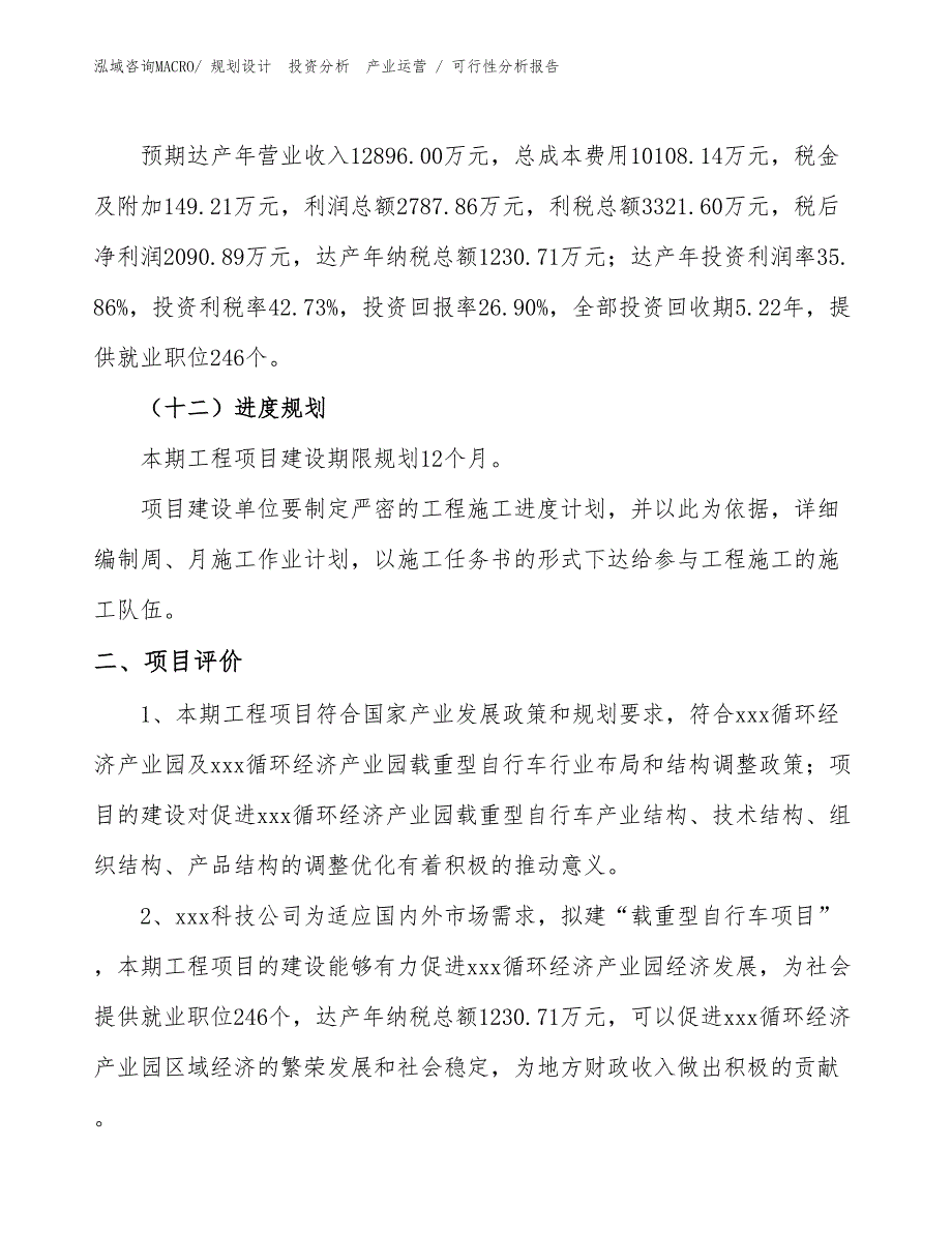 载重型自行车项目可行性分析报告_第3页