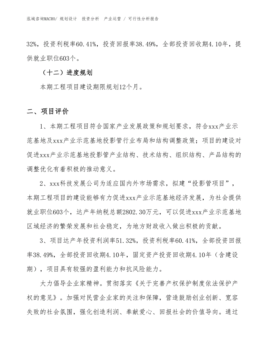 投影管项目可行性分析报告_第3页