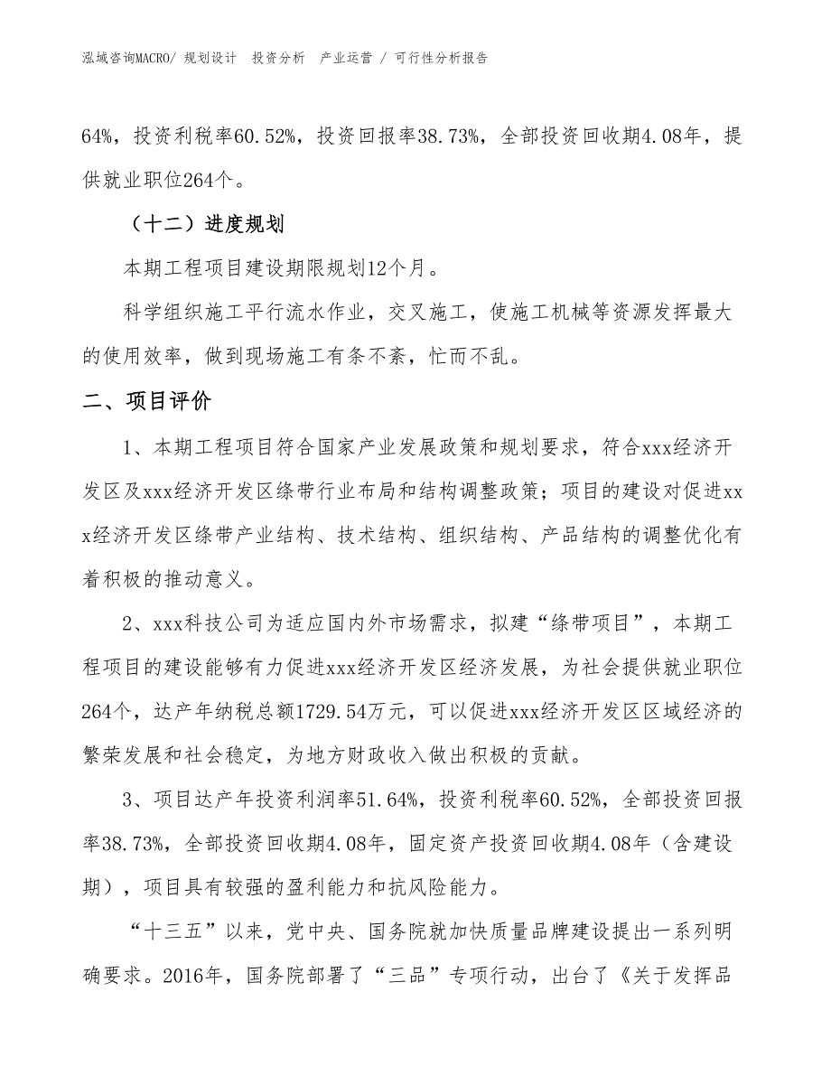 绦带项目可行性分析报告_第3页