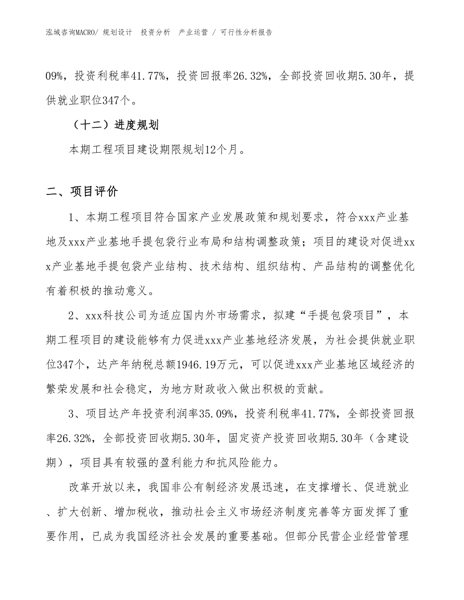 手提包袋项目可行性分析报告_第3页