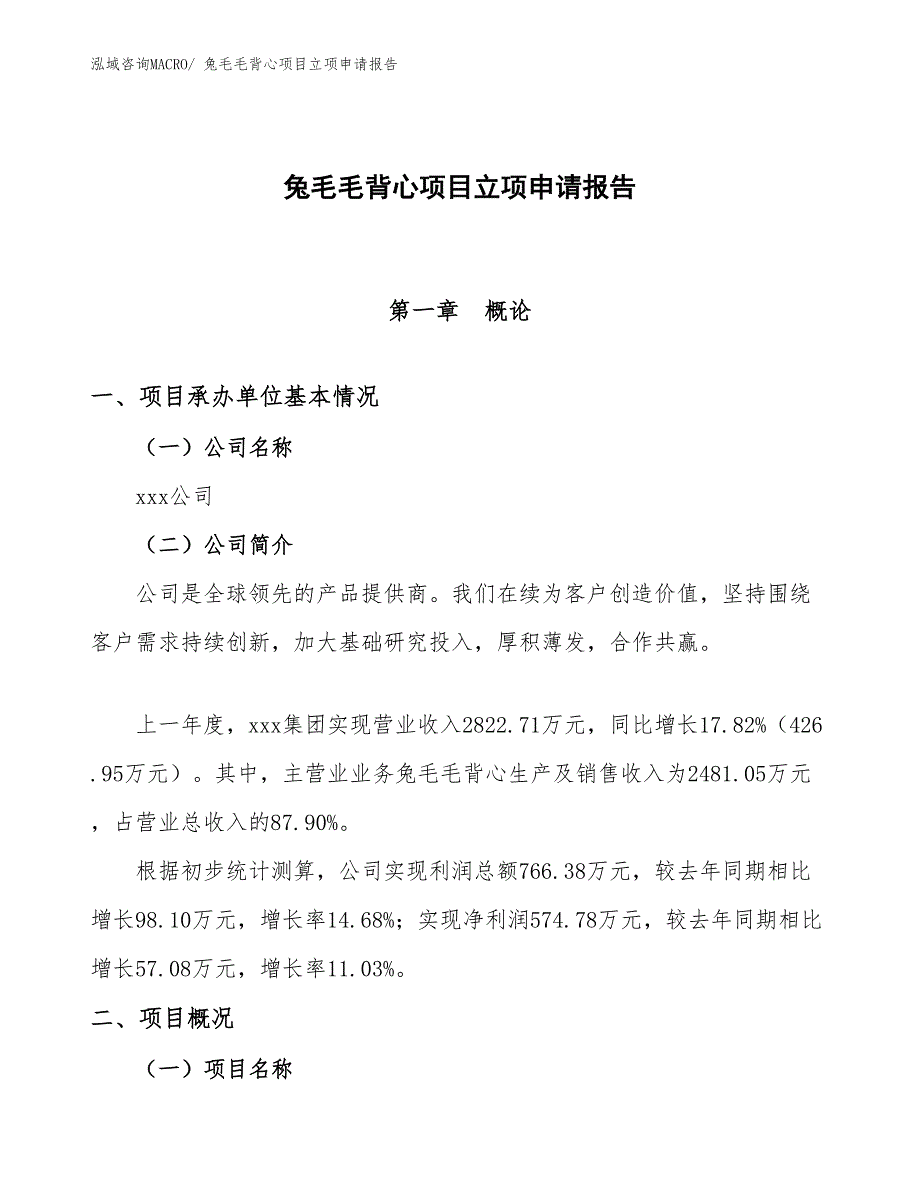 （参考模板）兔毛毛背心项目立项申请报告_第1页