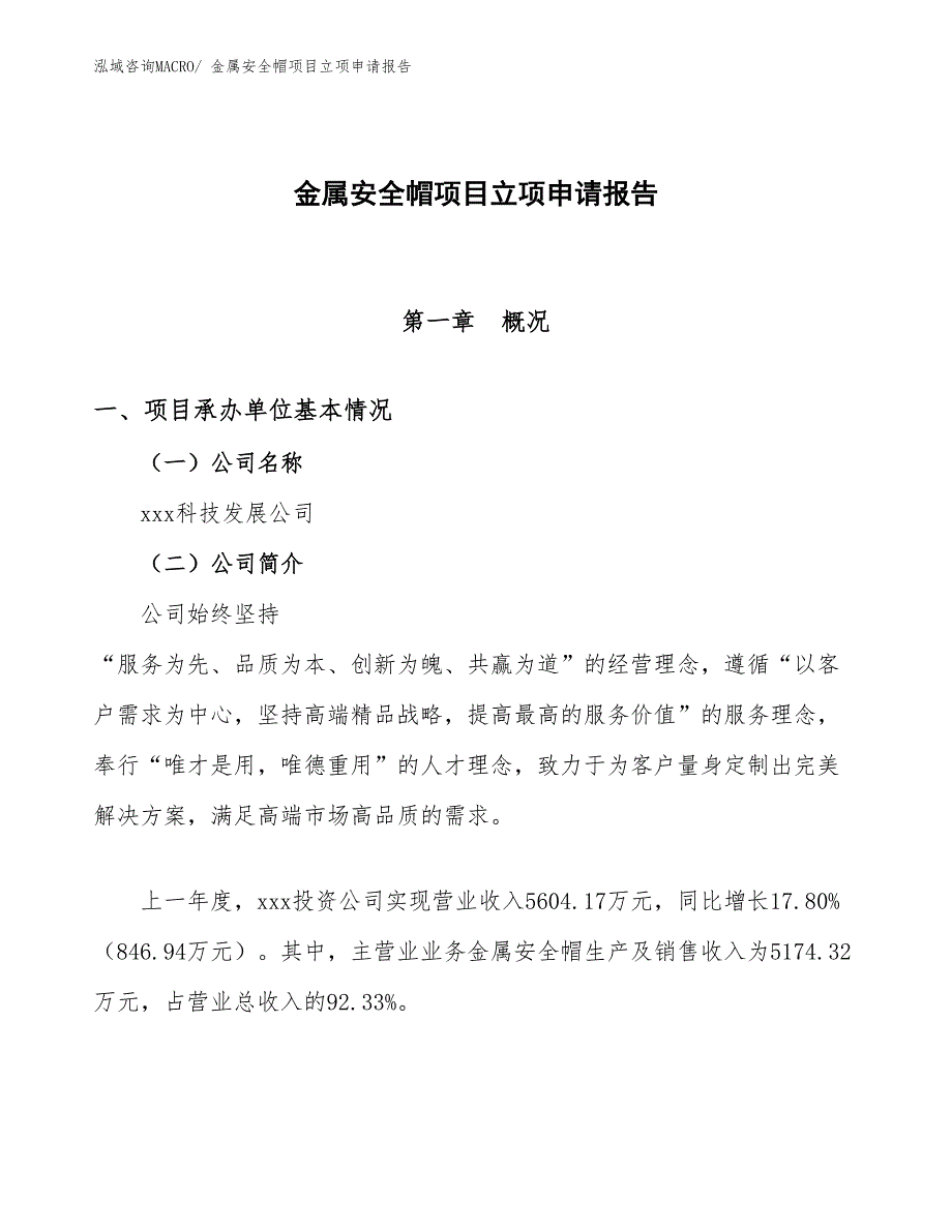 （分析）金属安全帽项目立项申请报告_第1页