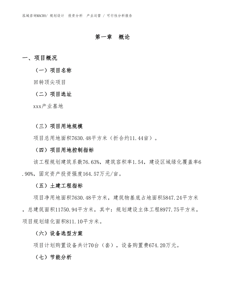 回转顶尖项目可行性分析报告_第1页