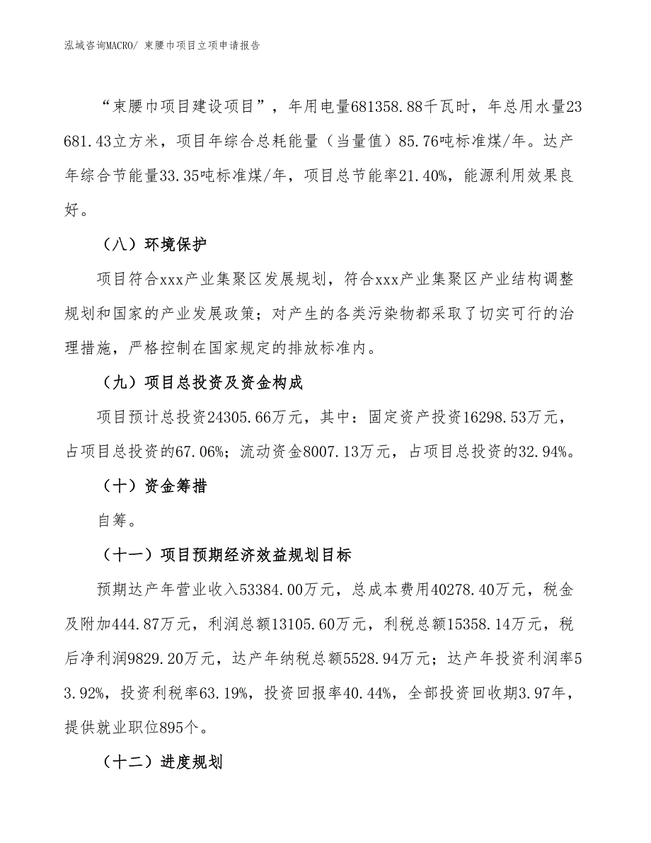 （模板）束腰巾项目立项申请报告_第3页