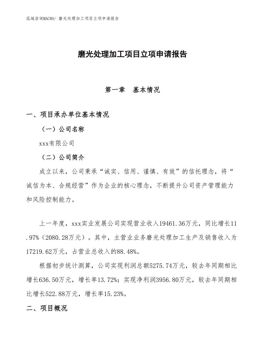 （分析）磨光处理加工项目立项申请报告_第1页