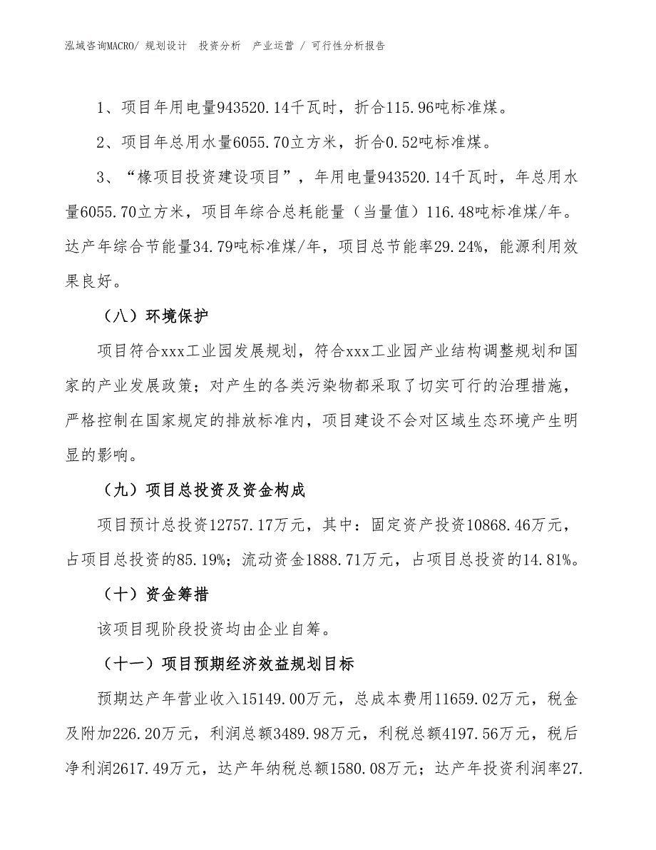 椽项目可行性分析报告_第2页