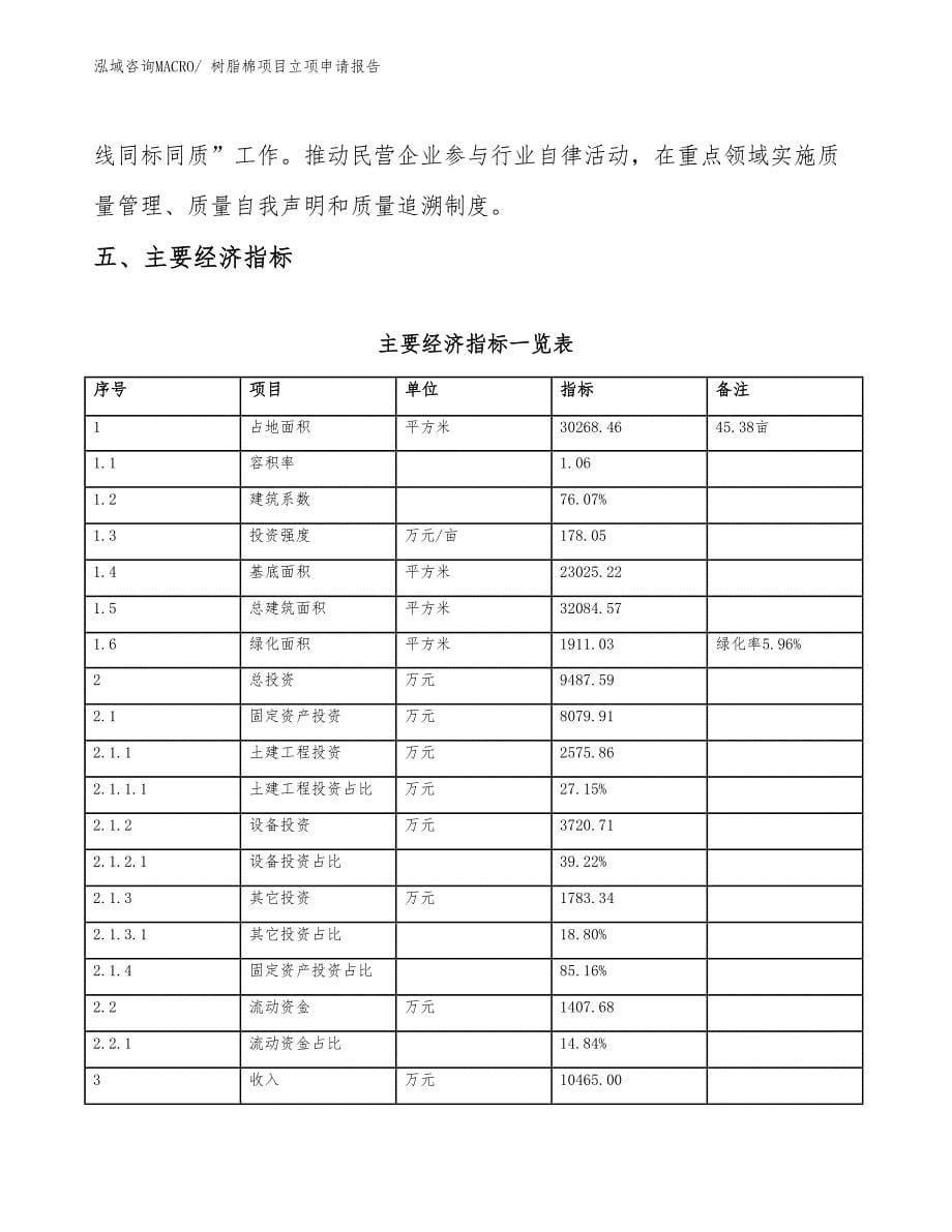 （参考模板）树脂棉项目立项申请报告_第5页